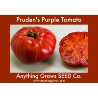 Tomato - Pruden's Purple, Beefsteak - Organic